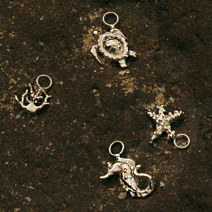 Turtle Earring | Gold