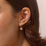 Shell Earring | Gold
