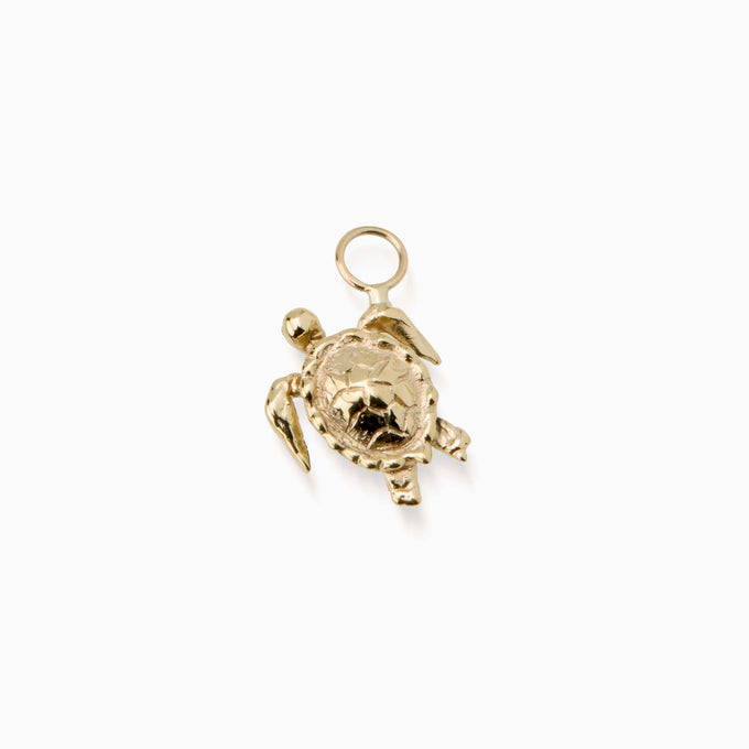 Turtle Earring | Gold