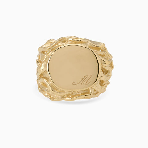 Engraved Ivy Signet Ring | Yellow Gold