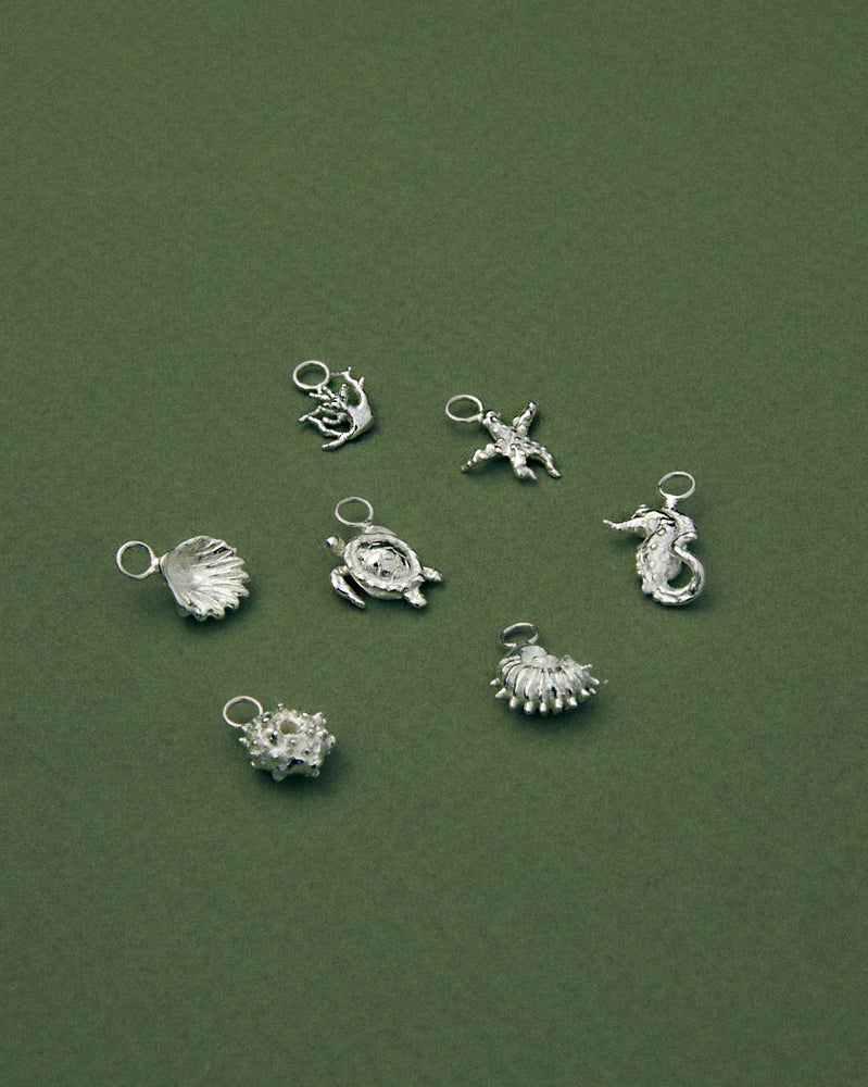 Turtle Earring | Silver