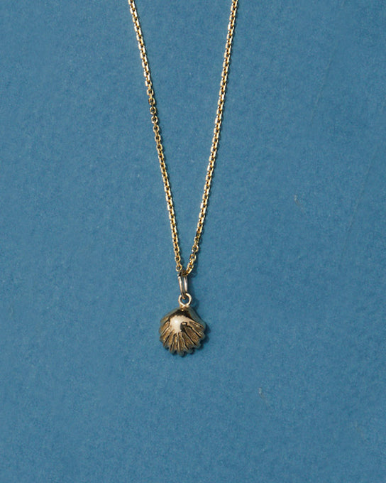 Atlantic Shell Pendant | Gold