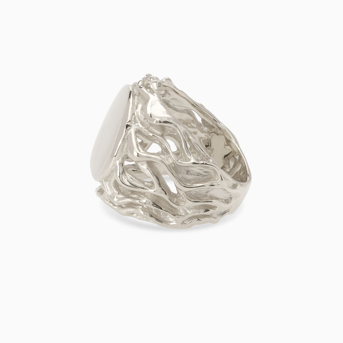 Ivy Signet Ring | Silver