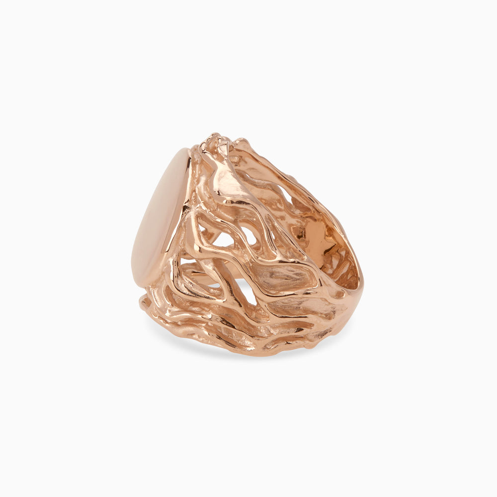 Engraved Ivy Signet Ring | Rose Gold