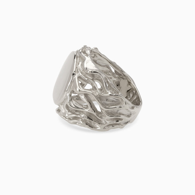 Engraved Ivy Signet Ring | White Gold
