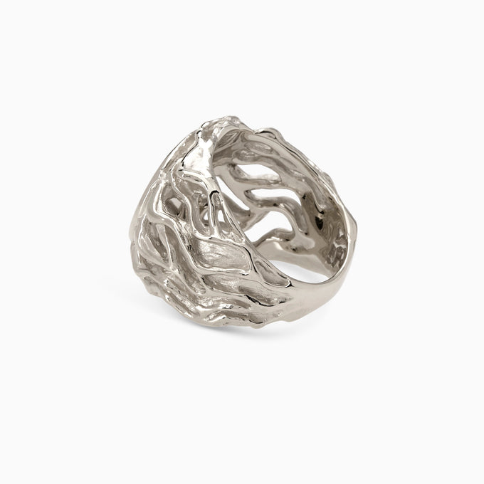 Engraved Ivy Signet Ring | White Gold