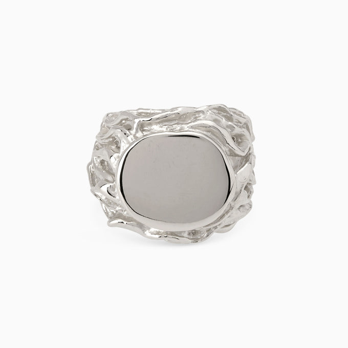 Ivy Signet Ring | White Gold