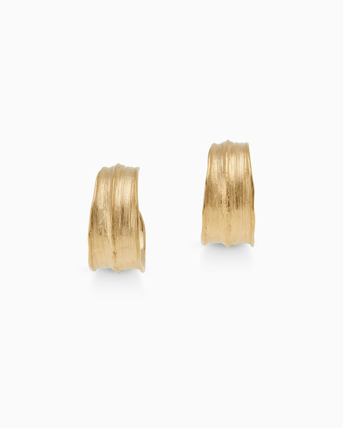 Birch Hoops | Gold