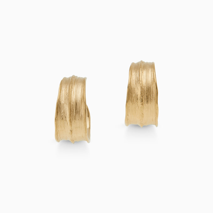 Birch Hoops | Gold