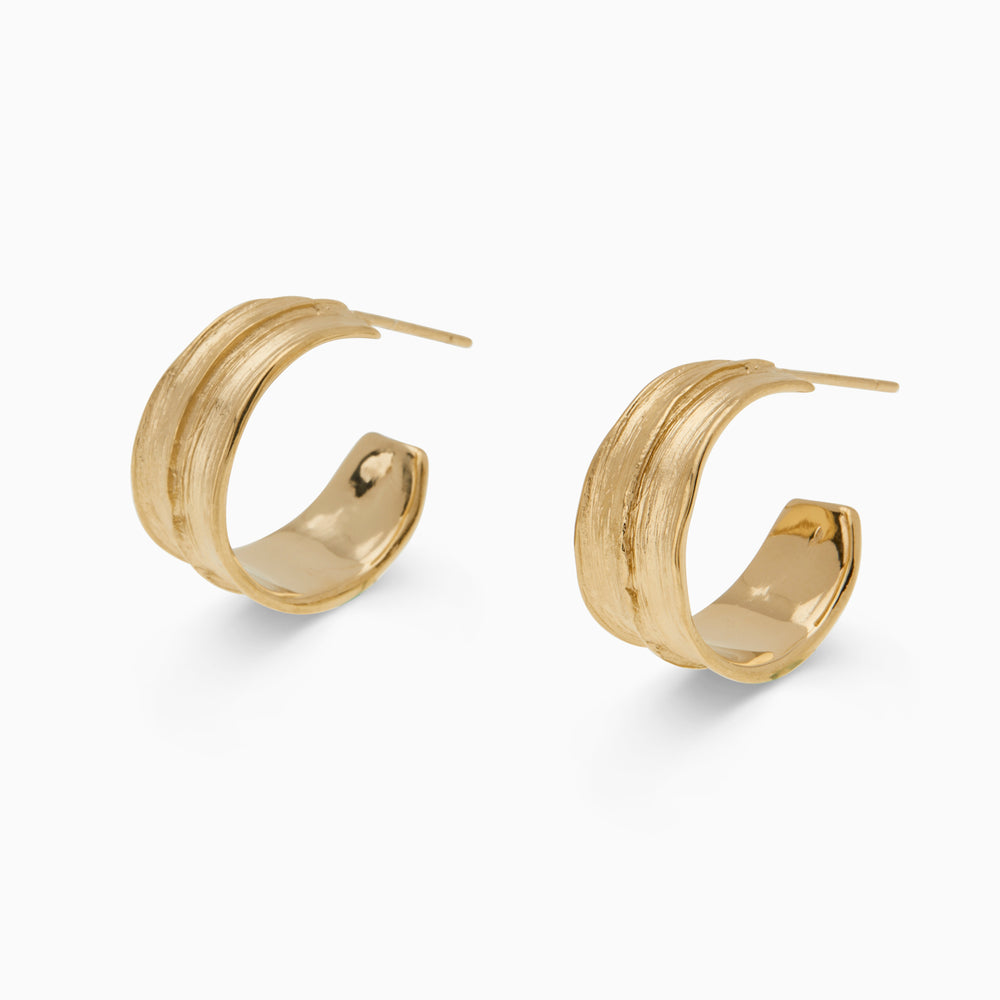 Birch Hoops | Gold