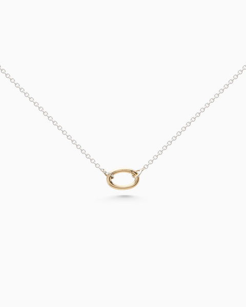 Delicate Hinge Link Necklace | Silver & Gold