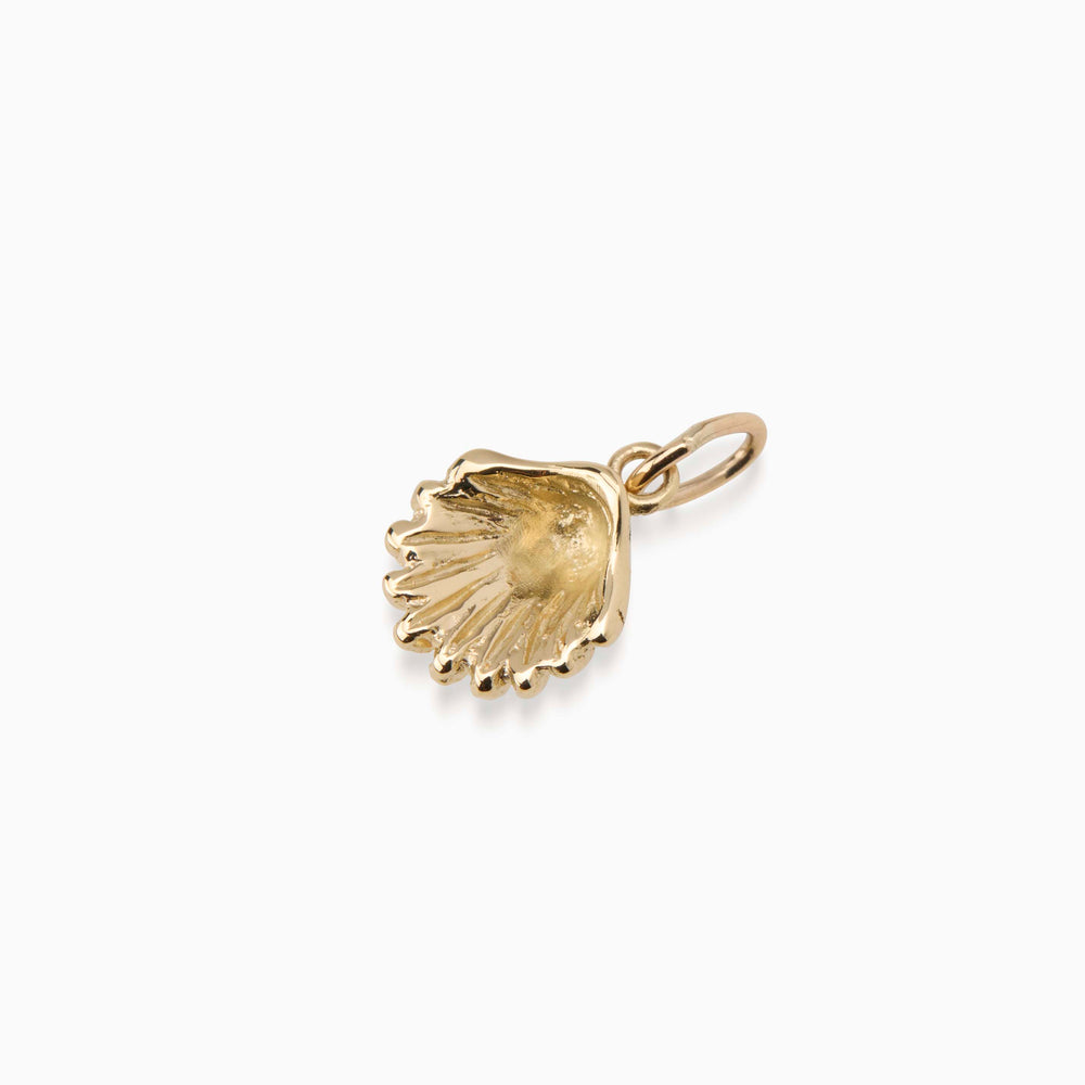 Atlantic Shell Pendant | Gold