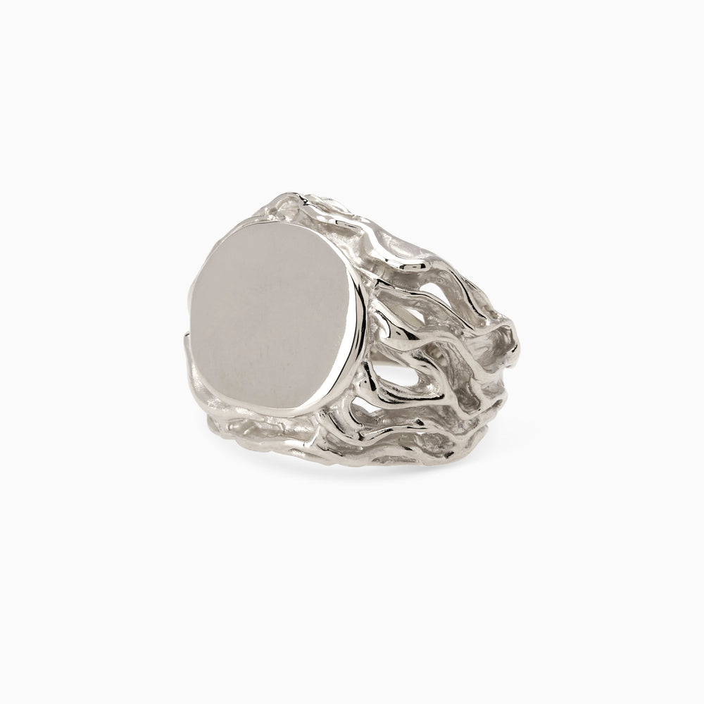 Engraved Ivy Signet Ring | White Gold
