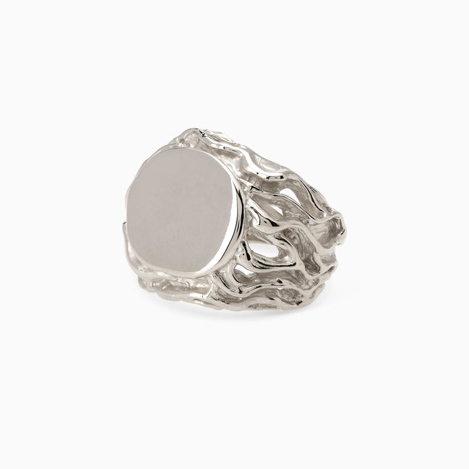 Ivy Signet Ring | White Gold