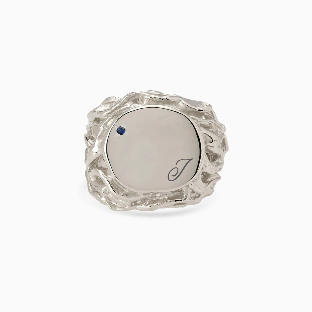 Engraved Ivy Signet Ring | White Gold