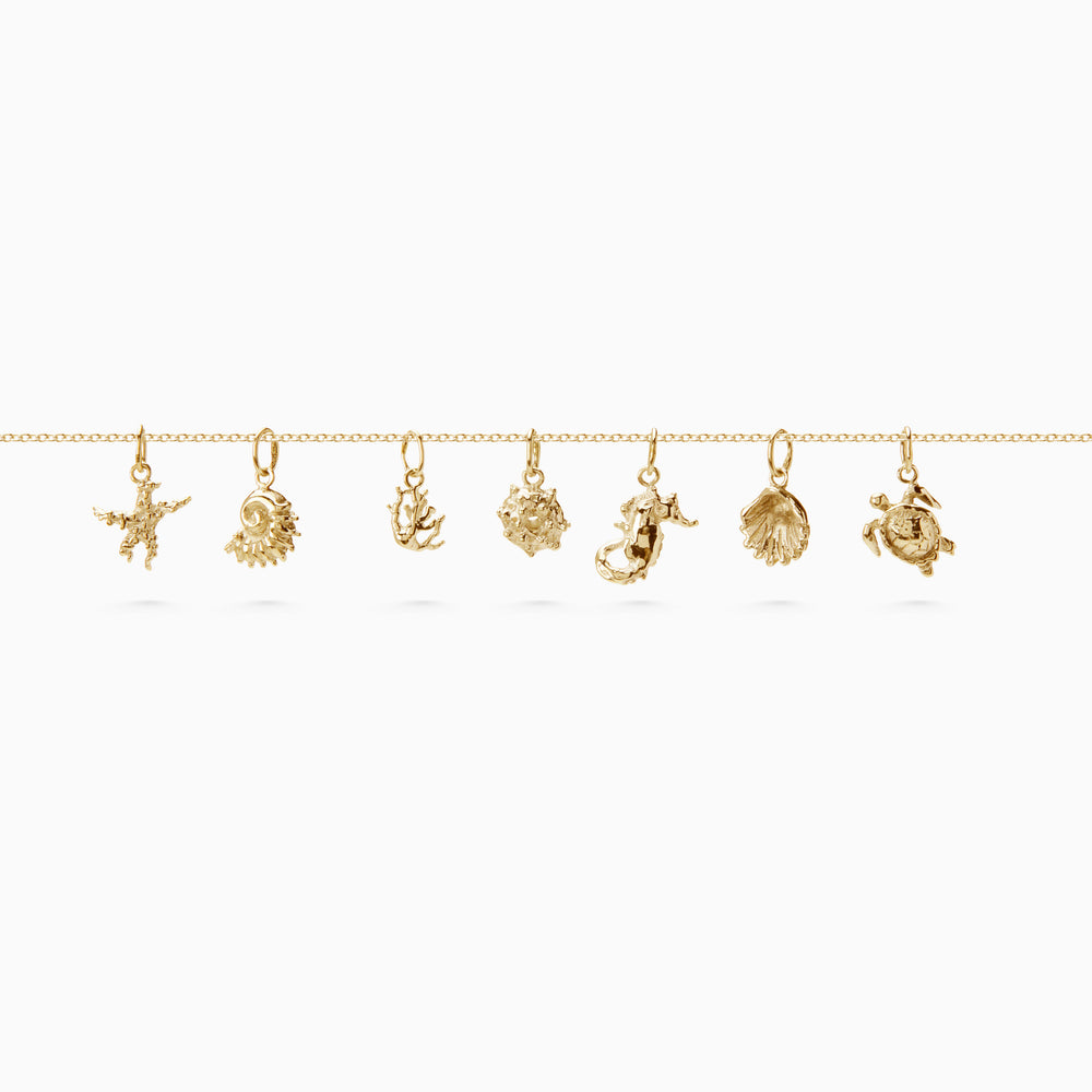 Atlantic Shell Pendant | Gold