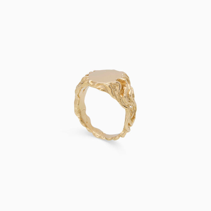 Sculpt Signet Ring | Solid Yellow Gold