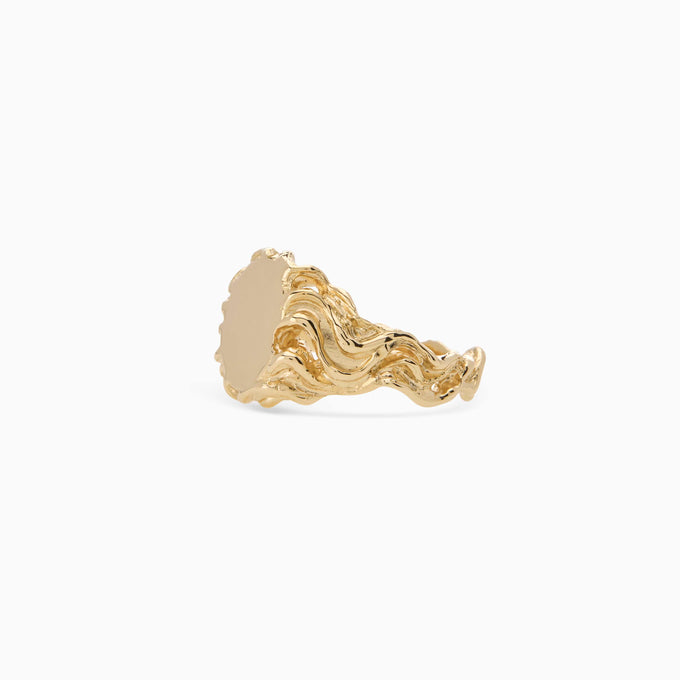 Sculpt Signet Ring | Solid Yellow Gold