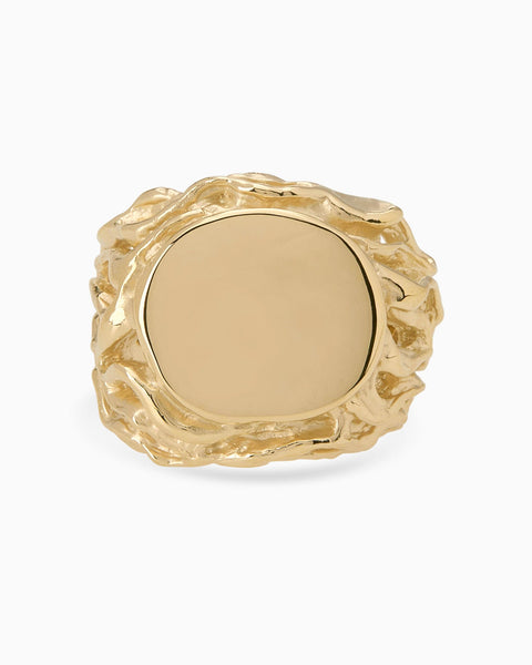 Ivy Signet Ring | Yellow Gold
