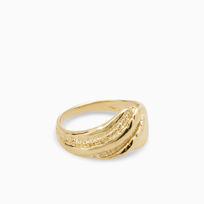 Shore Signet Ring | Solid Gold