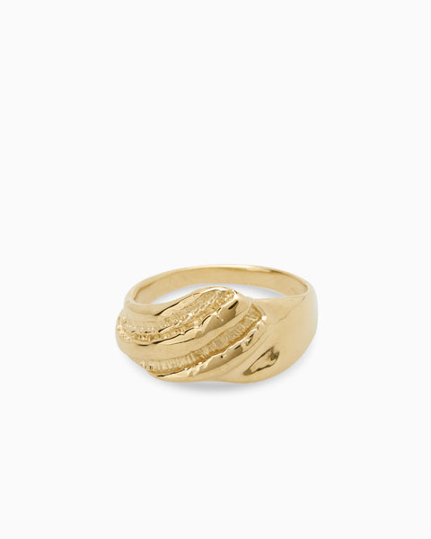 Shore Signet Ring | Solid Gold