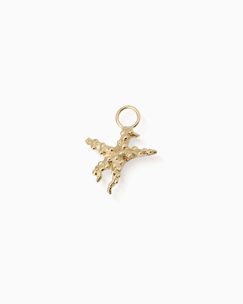 Starfish Earring | Gold