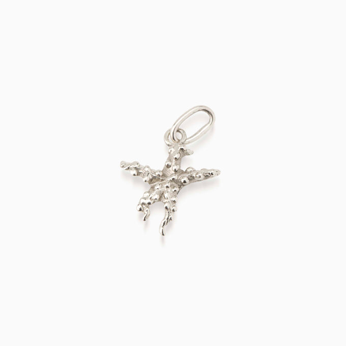 Starfish Pendant | Silver