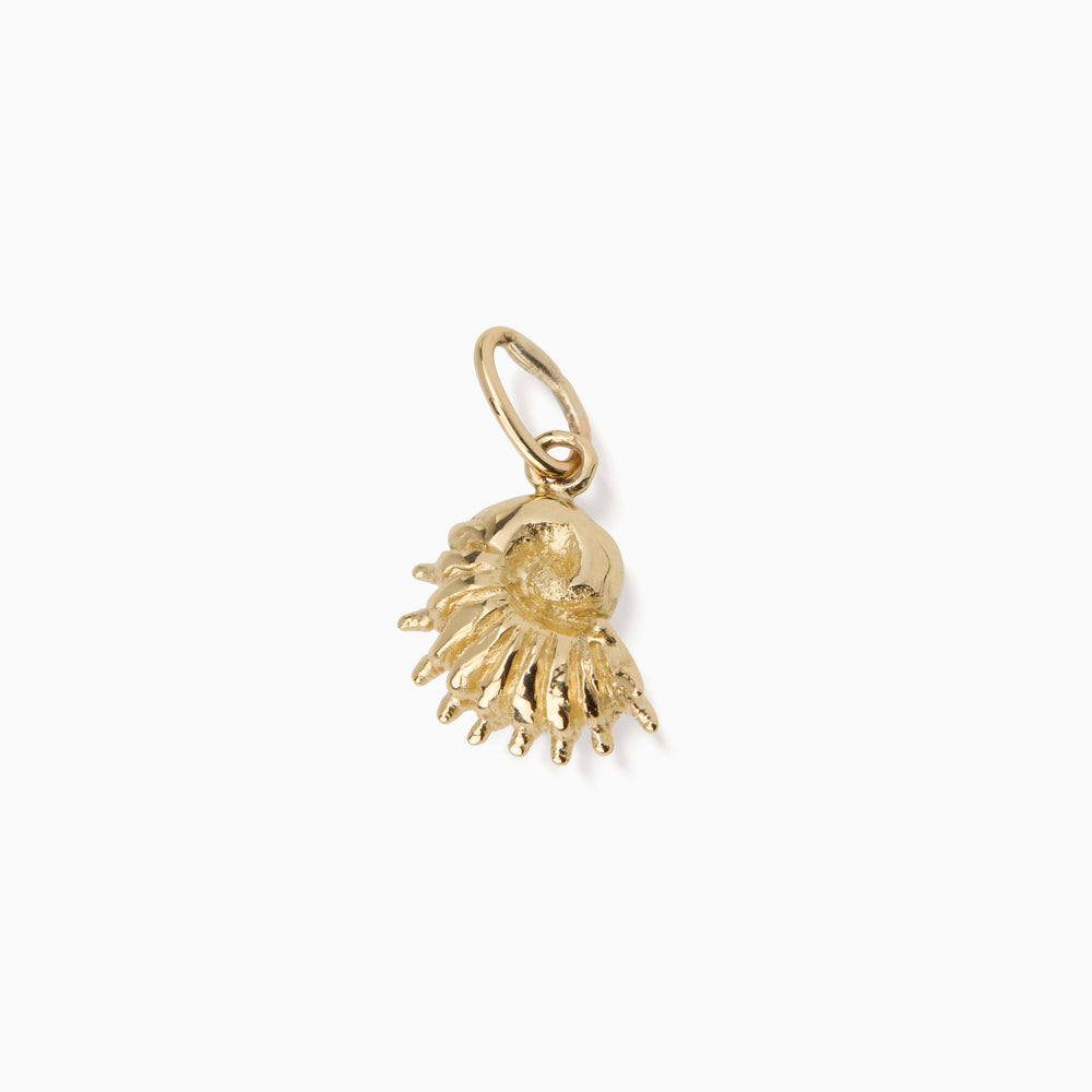 Sundial Shell Pendant | Gold