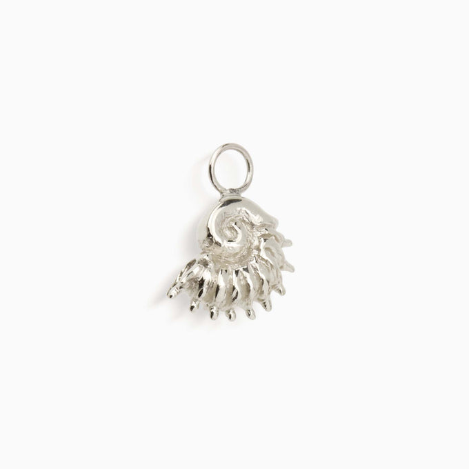 Sundial Shell Earring | Silver