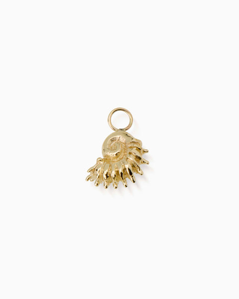 Sundial Shell Earring | Gold