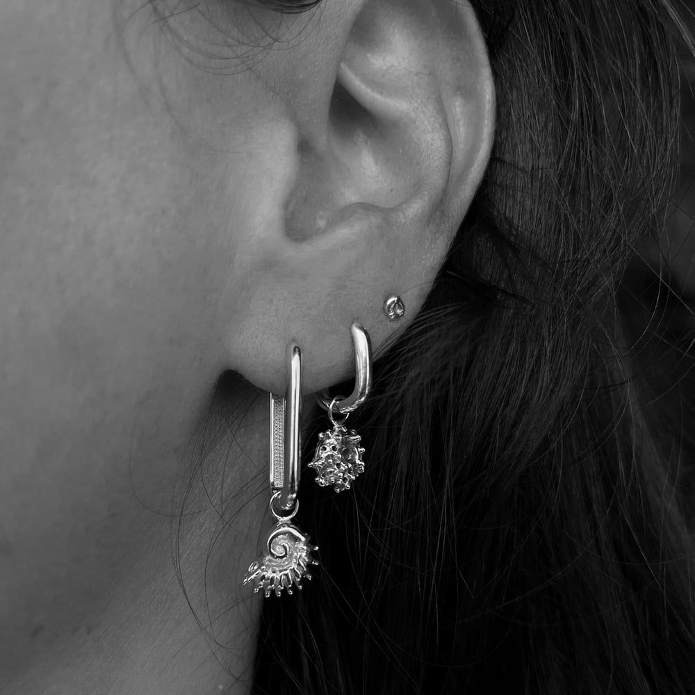 Sundial Shell Earring | Silver