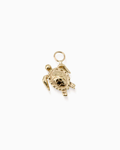 Turtle Earring | Gold